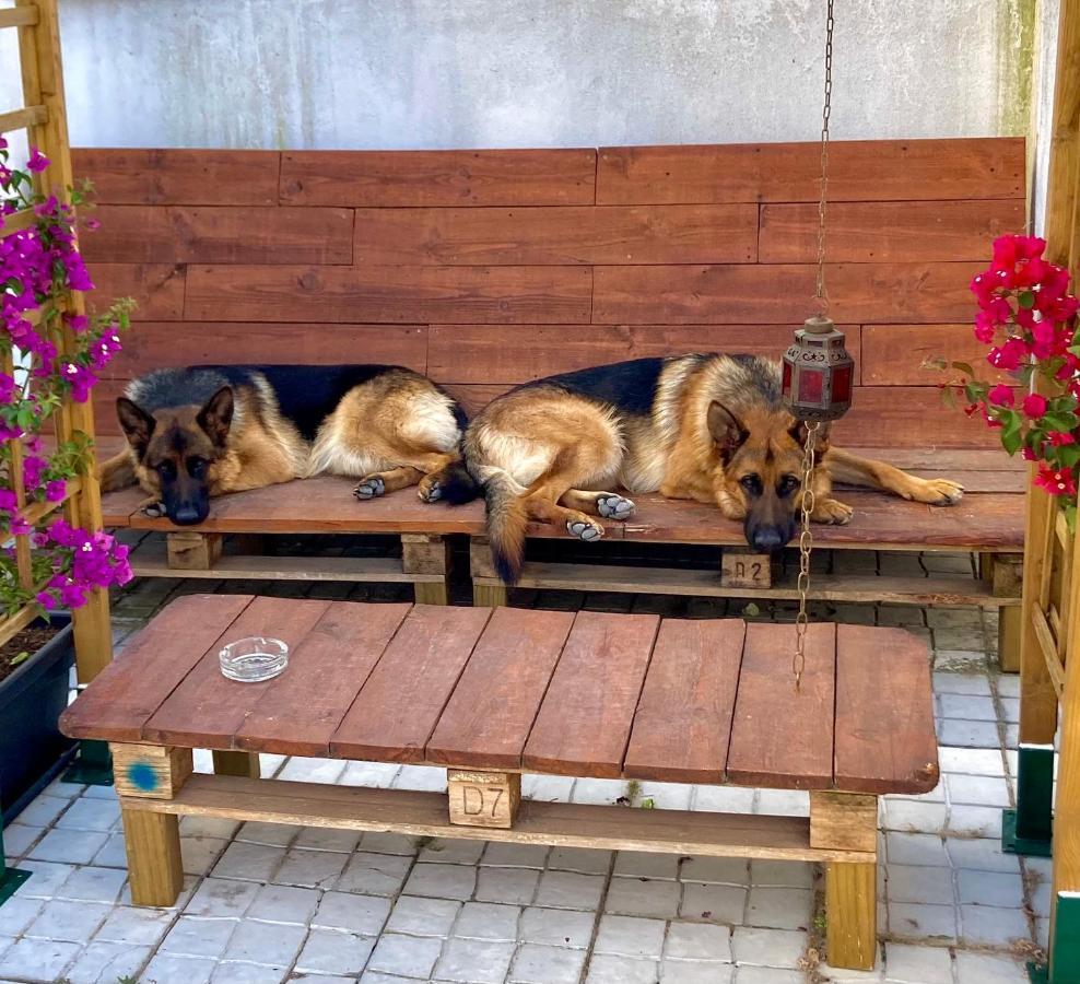 Appartamento Toca Do Lobo Charneca  Esterno foto