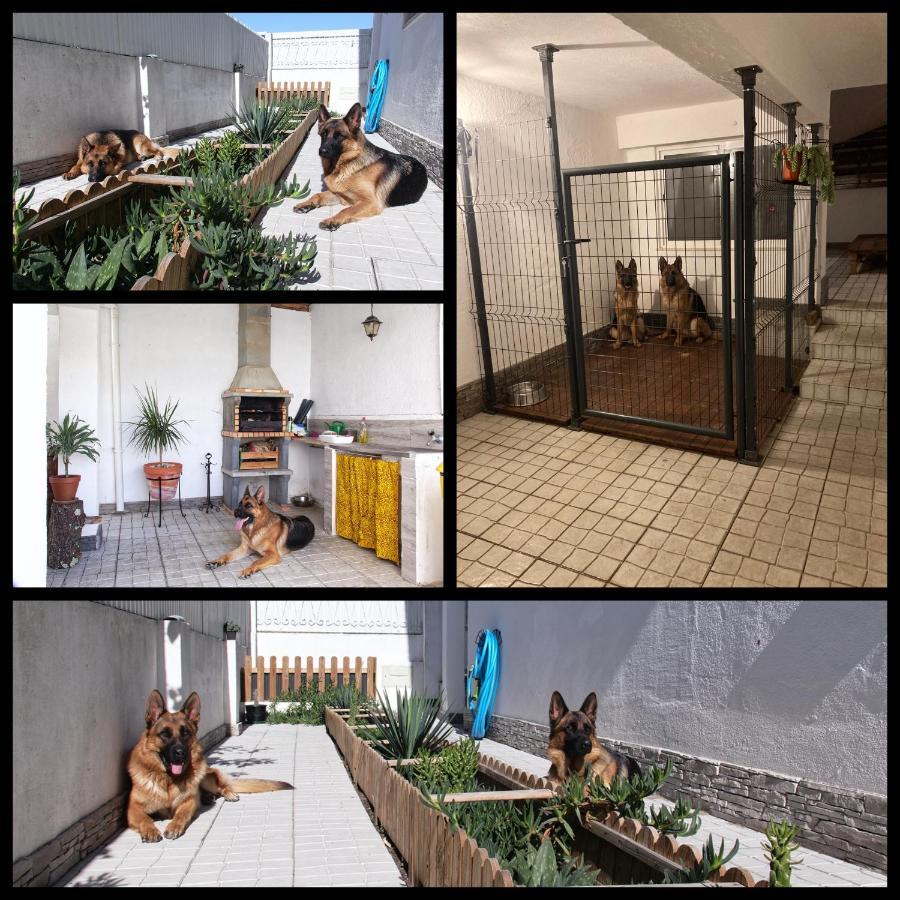 Appartamento Toca Do Lobo Charneca  Esterno foto